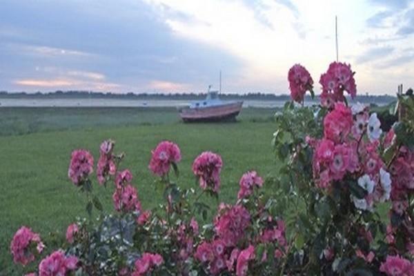 فندق Regnéville-sur-Merفي  La Baie المظهر الخارجي الصورة